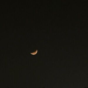 Meet your Posher, Irina